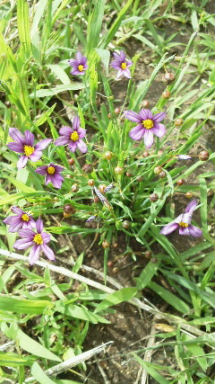201206131437000.jpg