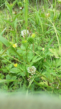 201206131556000.jpg