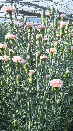 201205070650000.jpg