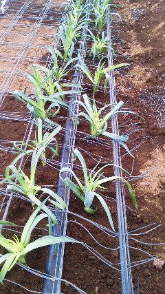 201206270710000.jpg