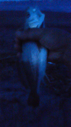 201207101924000.jpg