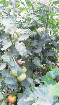 201207201656000.jpg