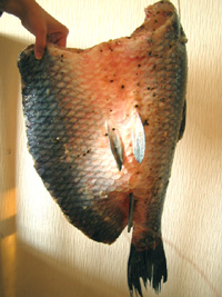 咸魚(青魚)