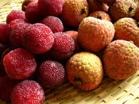 楊梅(山桃)、茘枝(ライチ)