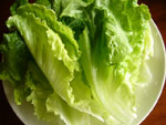 生菜(レタス)