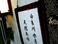 由良川水系天然の鮎