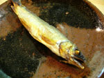 鮎の干物