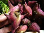 菱角(菱の実)