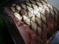 青魚