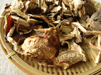 老人頭、鶏棕、美味牛肝菌