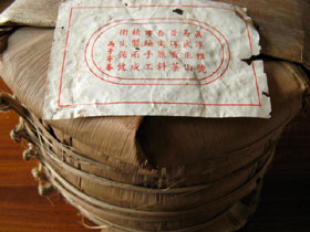 真淳雅號1995年