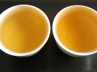 大益沱茶05年プーアル茶