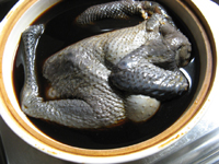 烏骨鶏をタレに漬ける