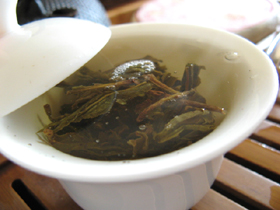 黄印7542七子餅茶