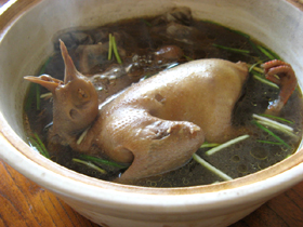 鴿子十全大補湯