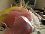 土佐清水の鯖