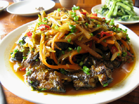 泡菜魚