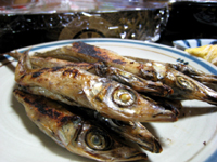 沖うるめ