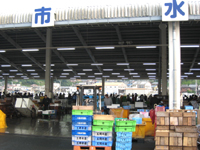 八幡浜の魚市場
