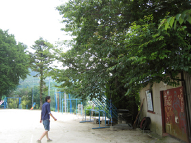 高野地