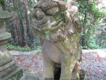 高野地