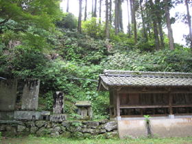 高野地