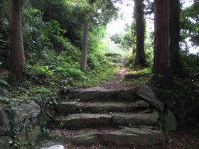 高野地