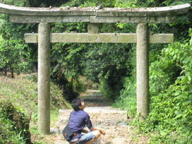 高野地
