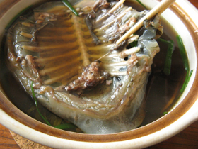 甲魚十全大補湯