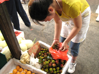 茘枝