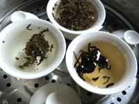 蒸して煎じるプーアル茶