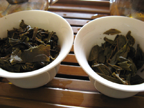 大益8582七子餅茶06年
