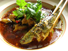 黄辣丁