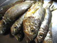 泡菜黄魚