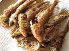 白水魚