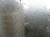 窓の露