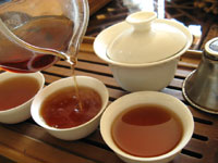 早期紅印春尖散茶