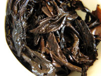 早期紅印春尖散茶