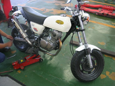 APE50 交換前