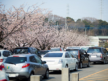 渋滞