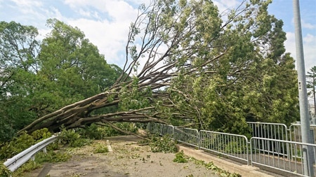 台風