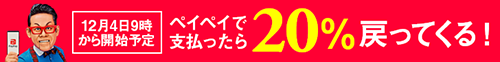 ペイペイで20%戻ってくる