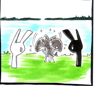 うさの10