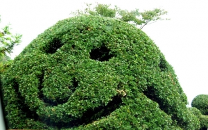 Ä»±©Å¸Ë¾Â桼£²
