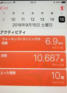 Hosui-1