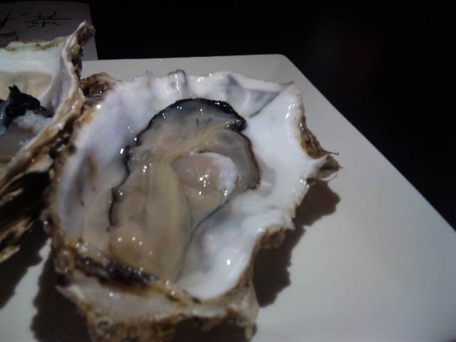 101120_2146031.jpg