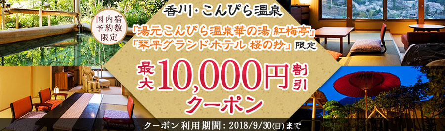 dトラベル