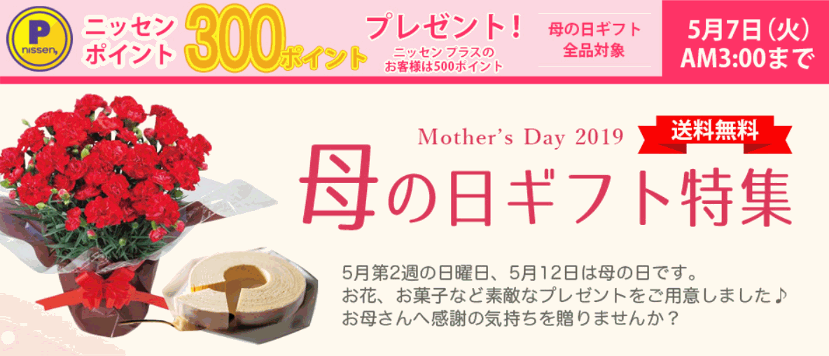 ニッセンポイントキャンペーン
