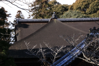 05石山寺礼堂.JPG