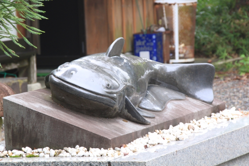 ナマズの神社 高島市藁園神社 | オオヌマズの玉手箱